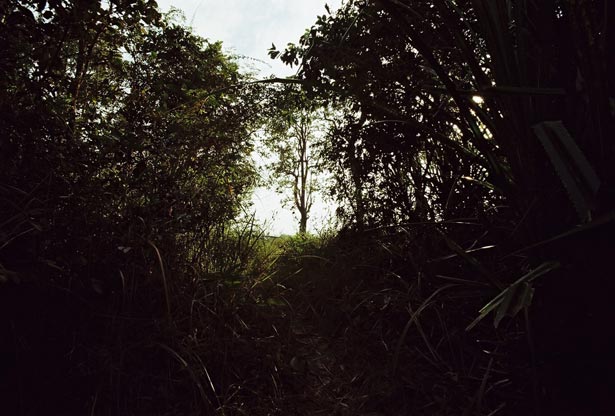 Primitive Installation, Apichatpong Weerasethakul