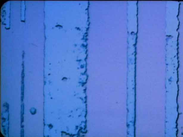 3 Ways to Go, Sarah Cox