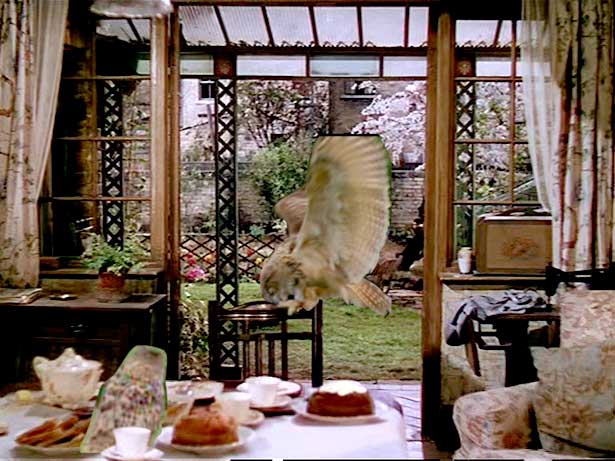 54 Morning Lane, Suky Best