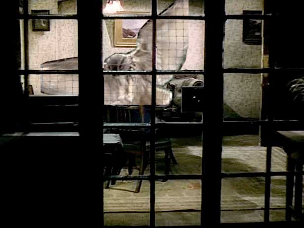 54 Morning Lane, Suky Best