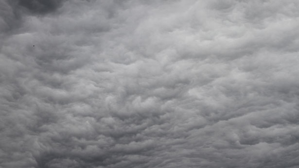 Figment, Hiraki Sawa 