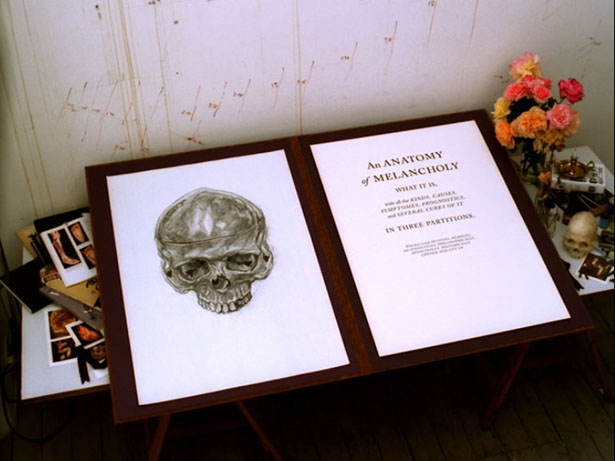 An Anatomy of Melancholy, Jo Ann Kaplan