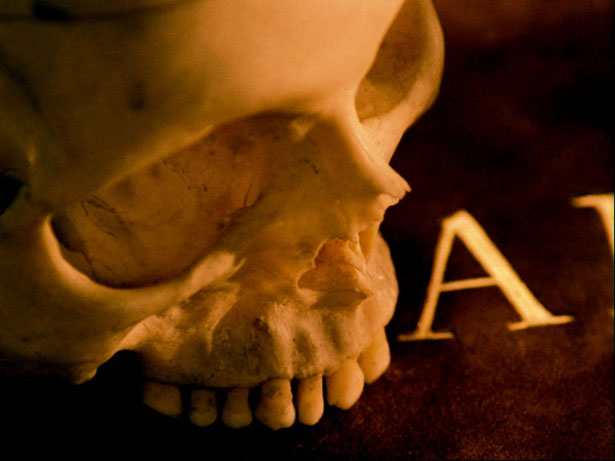 An Anatomy of Melancholy, Jo Ann Kaplan