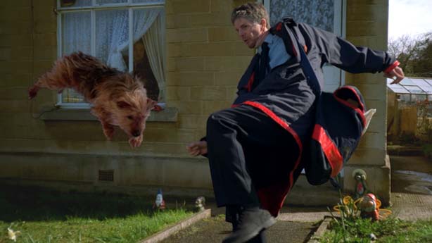 Animal Tragic, Tim Macmillan