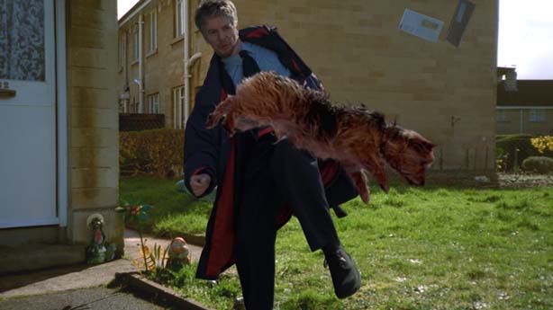 Animal Tragic, Tim Macmillan