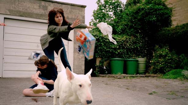 Animal Tragic, Tim Macmillan