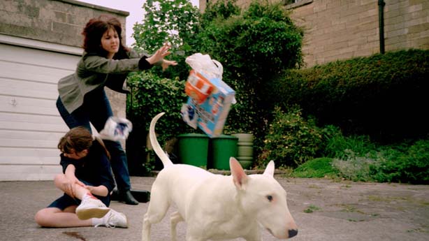 Animal Tragic, Tim Macmillan