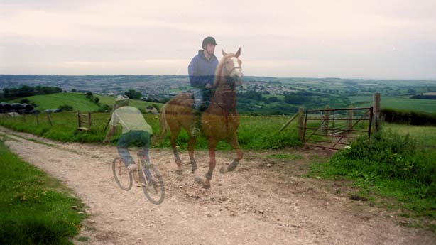 Animal Tragic, Tim Macmillan