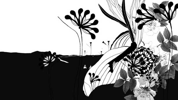 As the Crow Flies, Carolina Melis & Susanne Flender