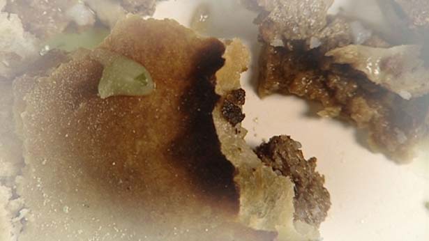 Black, White & Green, Ian Bourn