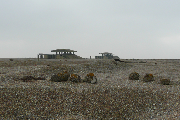 Cobra Mist, Emily Richardson