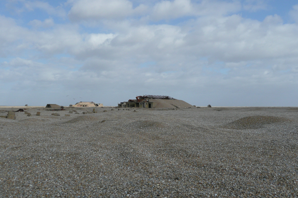 Cobra Mist, Emily Richardson