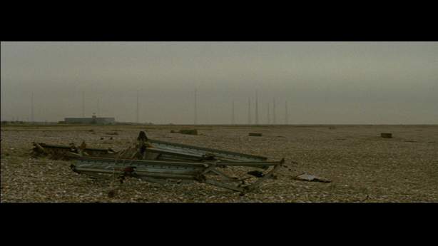 Cobra Mist, Emily Richardson