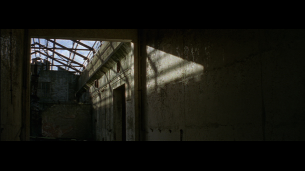 Cobra Mist, Emily Richardson