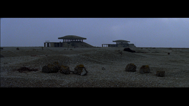 Cobra Mist, Emily Richardson