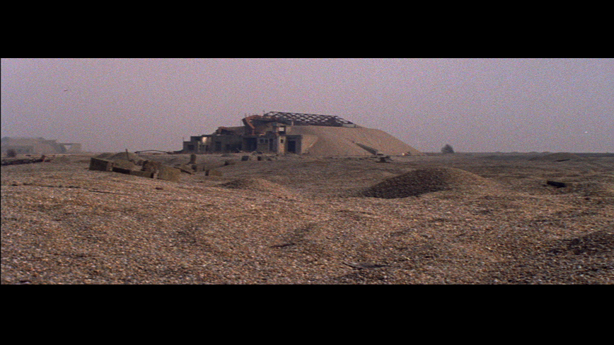 Cobra Mist, Emily Richardson