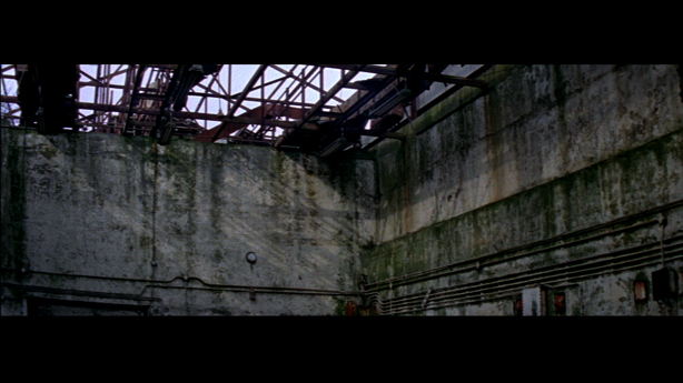 Cobra Mist, Emily Richardson