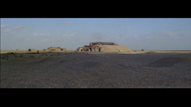 Cobra Mist, Emily Richardson