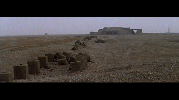 Cobra Mist, Emily Richardson