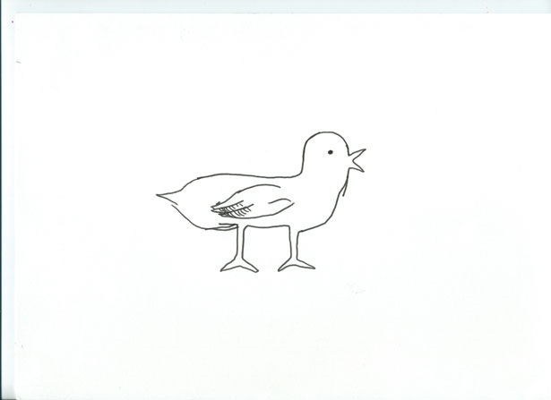 As the Crow Flies, Carolina Melis and Susanne Flender