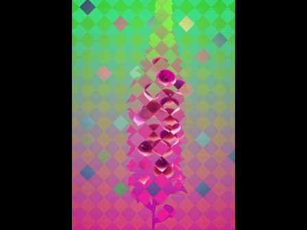 Digitalis, Sebastian Buerkner