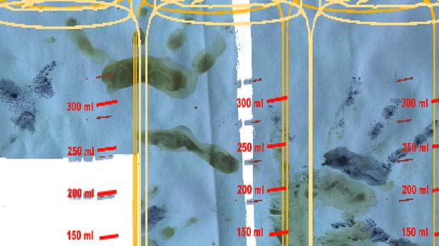 Doubled Up, Samantha Moore