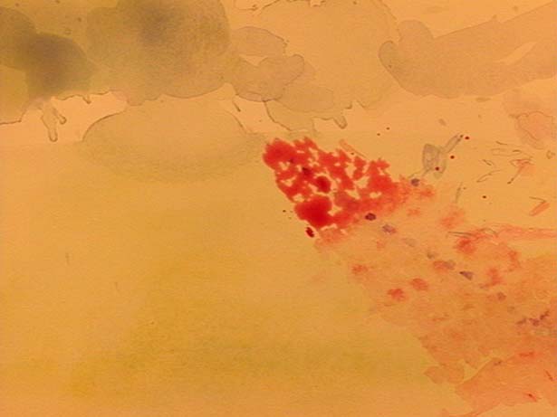 The Emperor, Elizabeth Hobbs