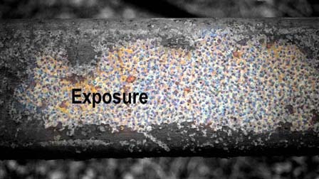 Exposure, Peter Collis