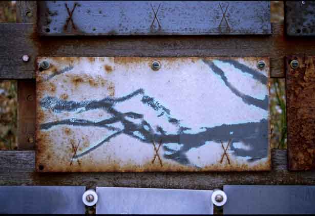 Exposure, Peter Collis