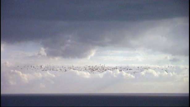 Flight, Dryden Goodwin