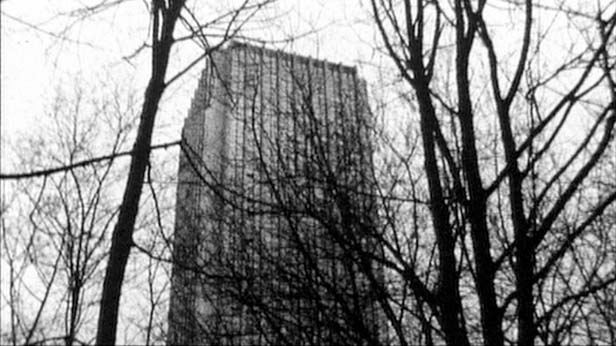 Half Life, Matt Hulse