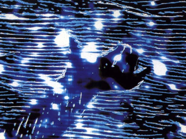 His Comedy, Paul Bush