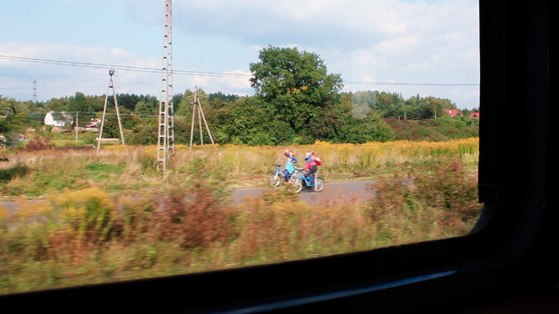 This is History (after all), Roz Mortimer