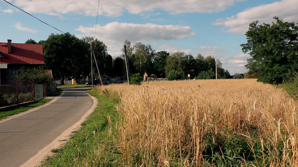 This is History (after all), Roz Mortimer