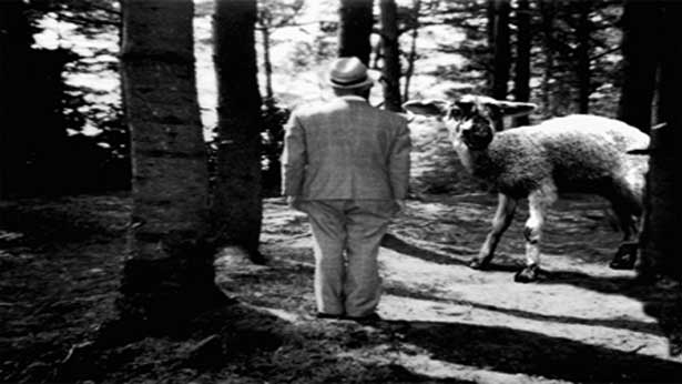 Hotel Central, Matt Hulse