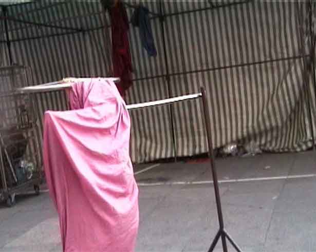 Elephant, Riccardo Iacono