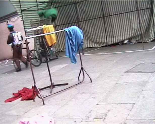 Elephant, Riccardo Iacono