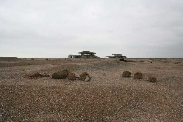 Cobra Mist, Emily Richardson