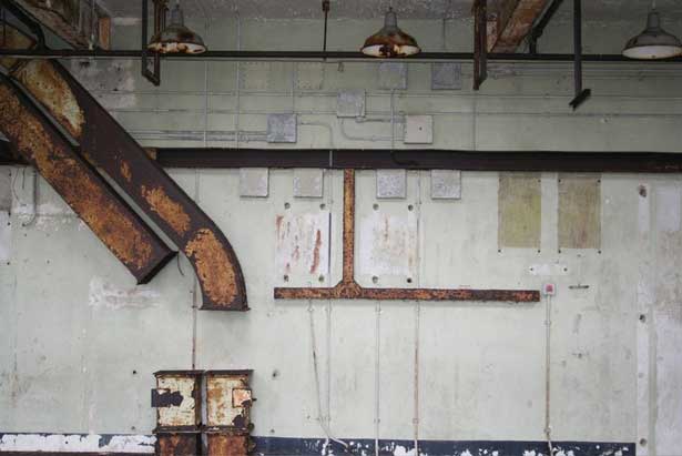 Cobra Mist, Emily Richardson