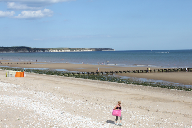 Love Brid, Susan Collins