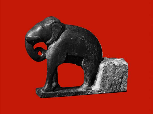 International Fauna, Melanie Jackson