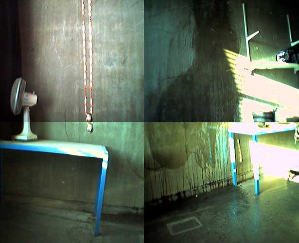 Quarter, Jane Cheadle