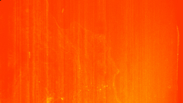 Little Boy Jordan Baseman