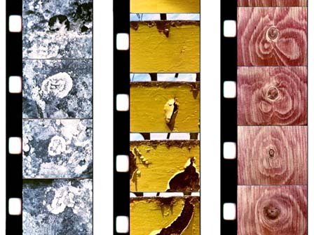 Miles from Anywhere, Gary Carpenter