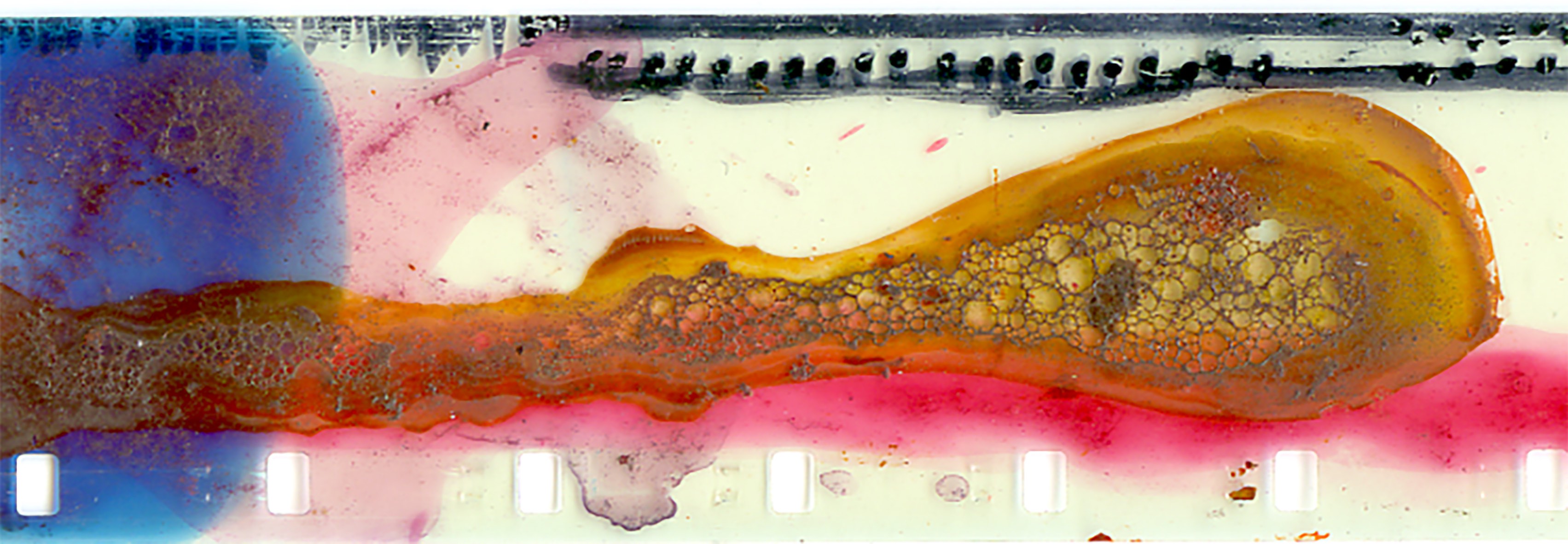 Nosiy, Licking, Dribbling and Spitting, Vicky Smith