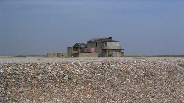 Cobra Mist, Emily Richardson