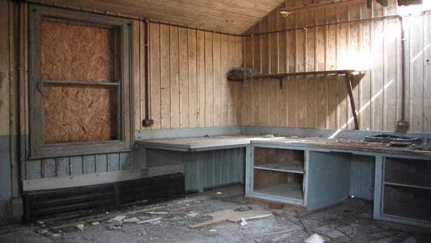 Cobra Mist, Emily Richardson