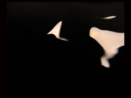 Infection Transmission Event/Cloudy November, Paul Abbott