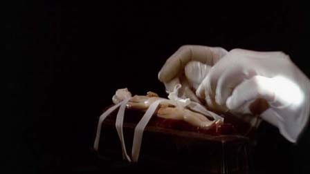 The Phantom Museum, The Quay Brothers