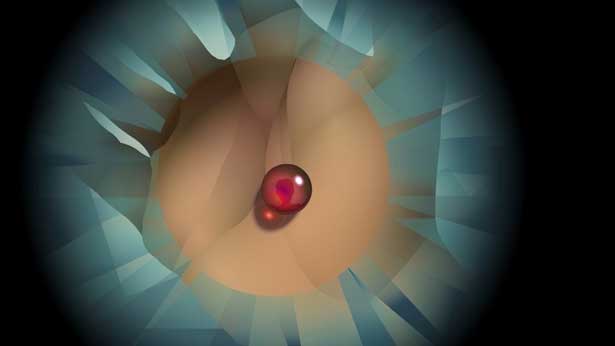 Purple Grey, Sebastian Buerkner